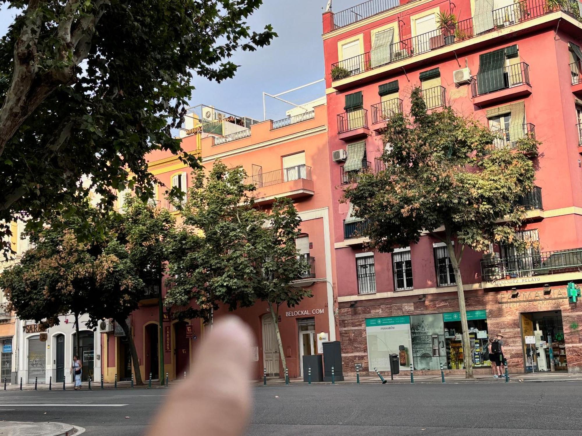 Solete'S House 1A Apartment Sevilla Exterior foto
